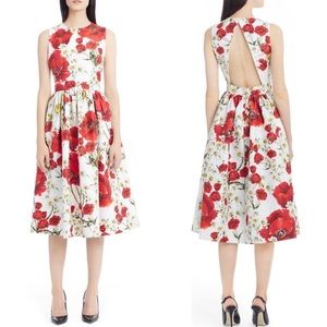 Dolce & Gabbana Poppy and Daisy Dress